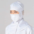 Disposable 3-Ply Ear-loop Cleanroom Mask
