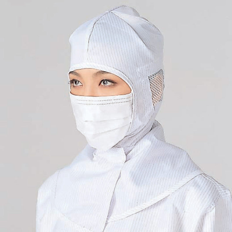Disposable 3-Ply Ear-loop Cleanroom Mask
