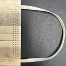 Disposable 2-Ply Ear Loop Cleanroom Face Mask