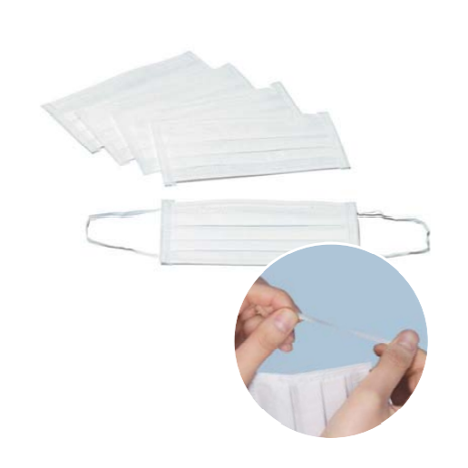 Disposable 2-Ply Ear Loop Cleanroom Face Mask