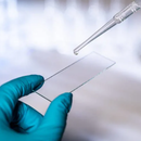 KM Microscope Plain Slides