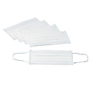 Disposable 3-Ply Ear-loop Cleanroom Mask